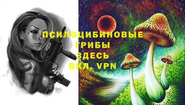 экстази Заволжск