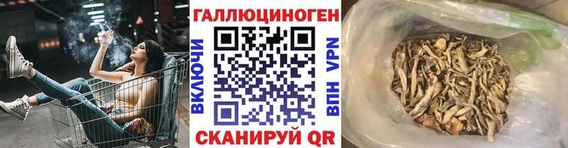 Псилоцибиновые грибы MAGIC MUSHROOMS  Купить  Горбатов 