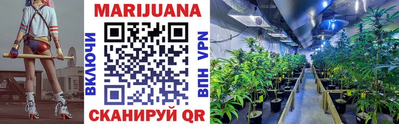 Бошки Шишки SATIVA & INDICA  Купить где  Горбатов 